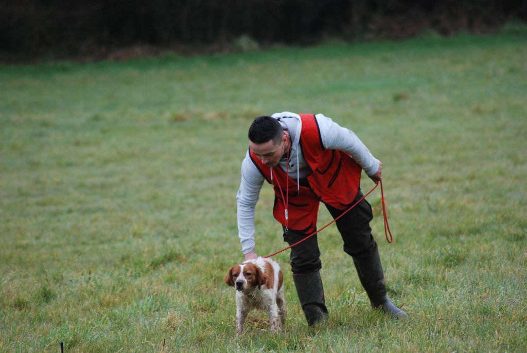 Narco de lan bern - Tan