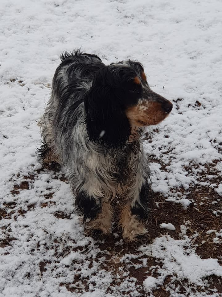 Publication : Du Domaine De L'Eternel Filou Auteur : du domaine de l'eternel filou