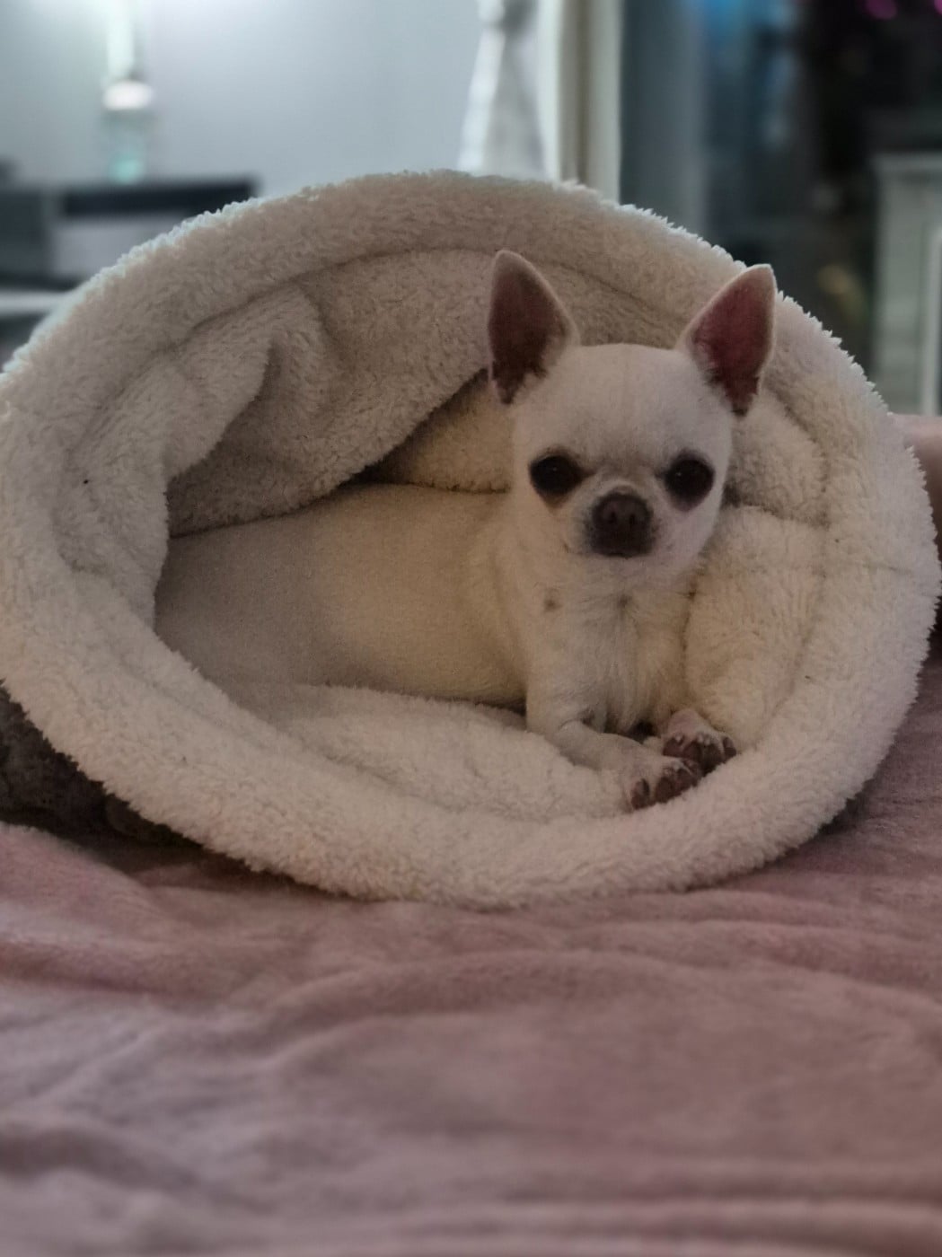 Valhalla de la Vallée des Aymaras