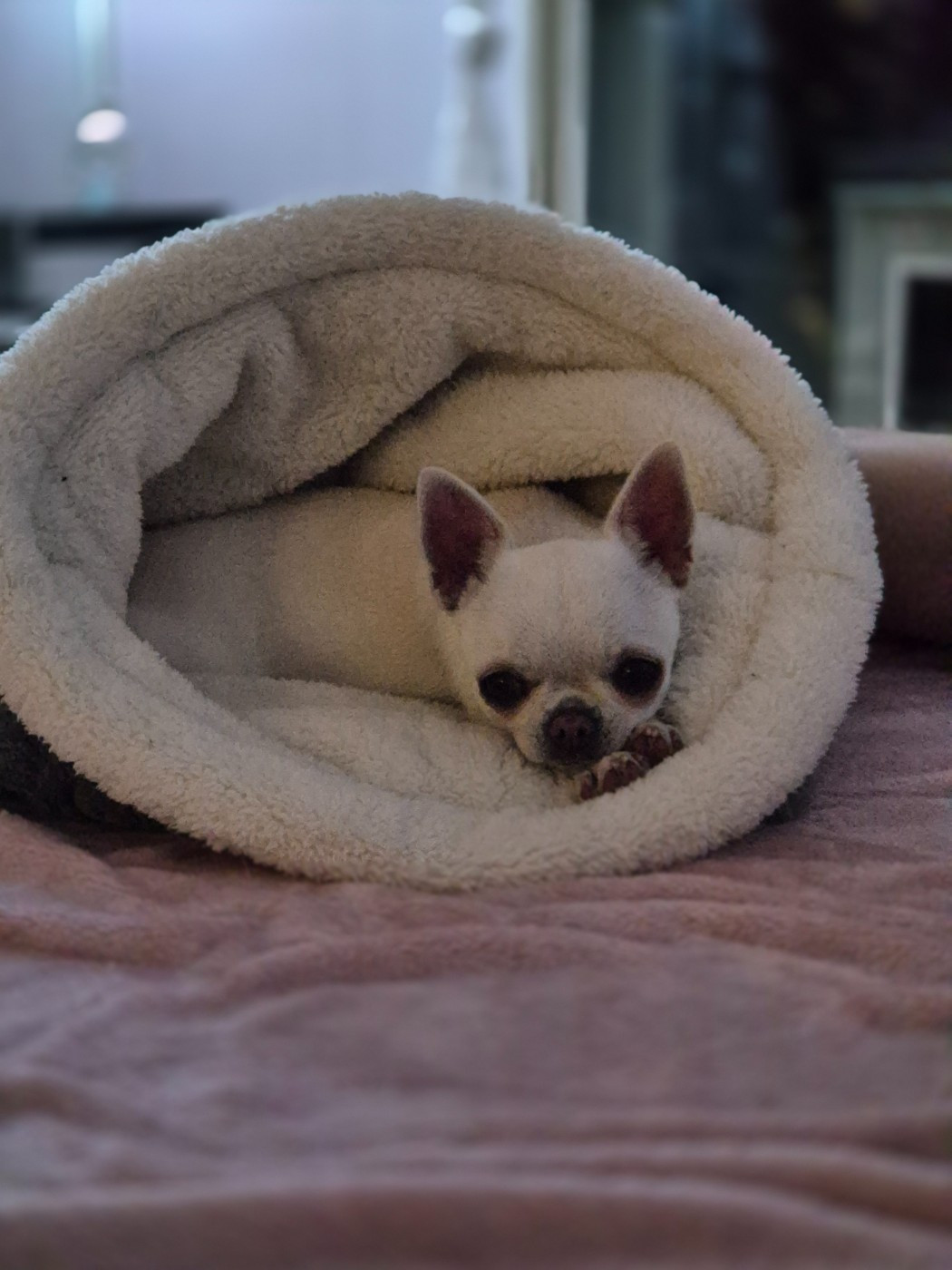 Valhalla de la Vallée des Aymaras