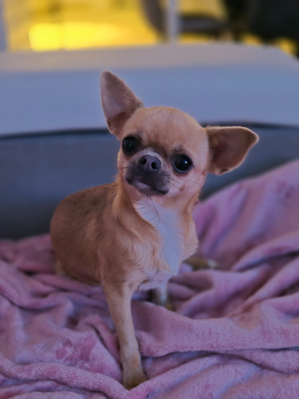 Vaïna Des Petits Diamants Précieux