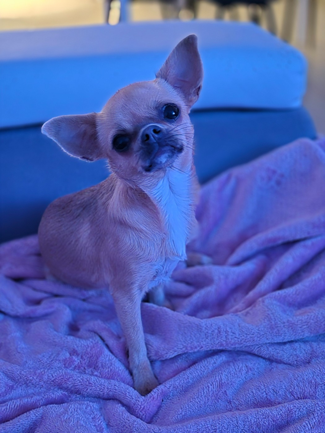 Vaïna Des Petits Diamants Précieux