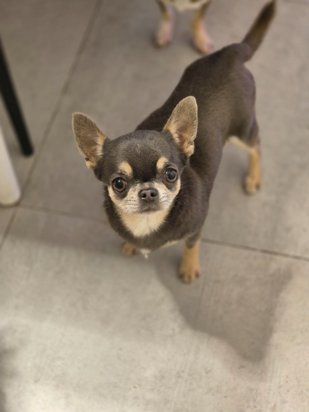 Publication : Des Petits Diamants Précieux