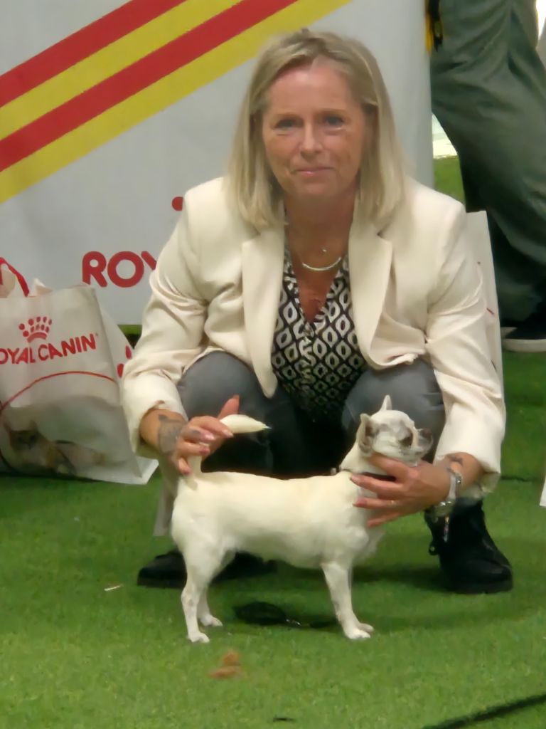 Valhalla de la Vallée des Aymaras