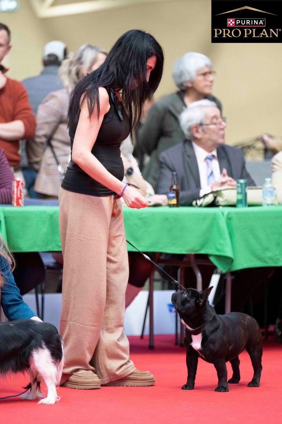 diffindo Portret & sensual (alba)