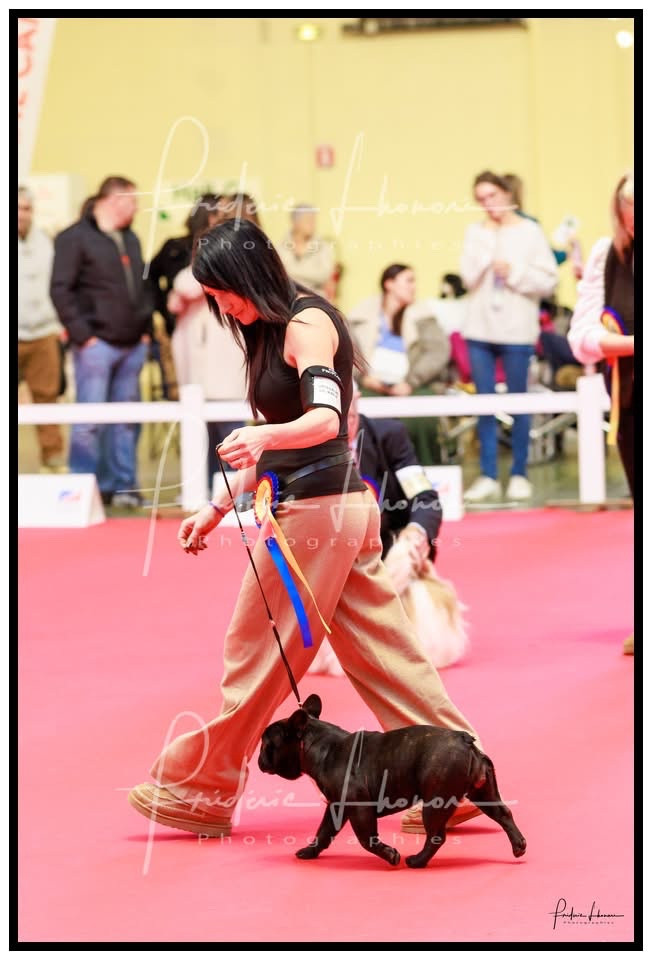 diffindo Portret & sensual (alba)