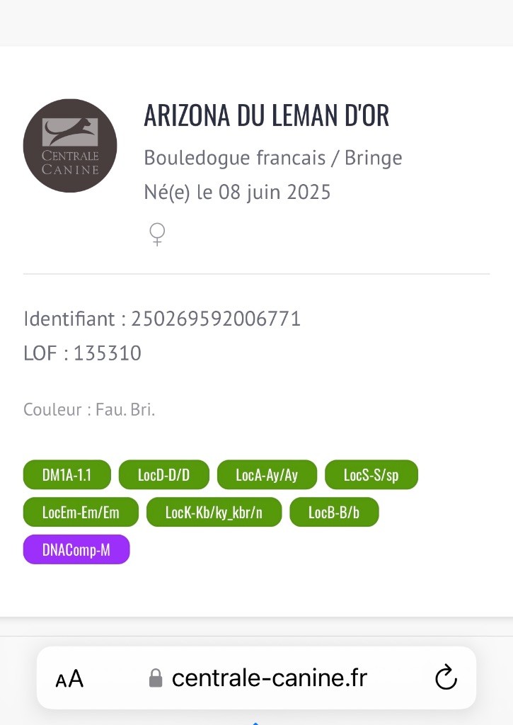 Arizona du Léman d'Or