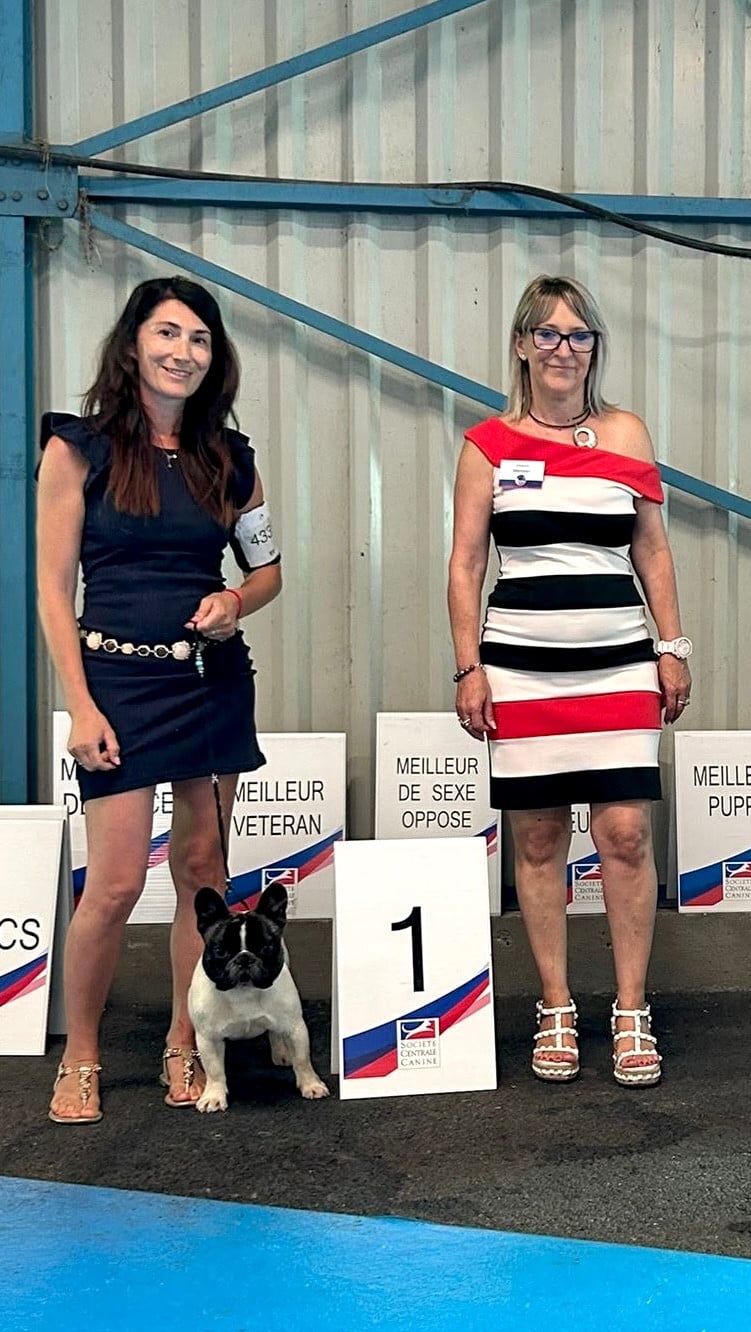 dreamlegacy Queensland - 1 er excellent