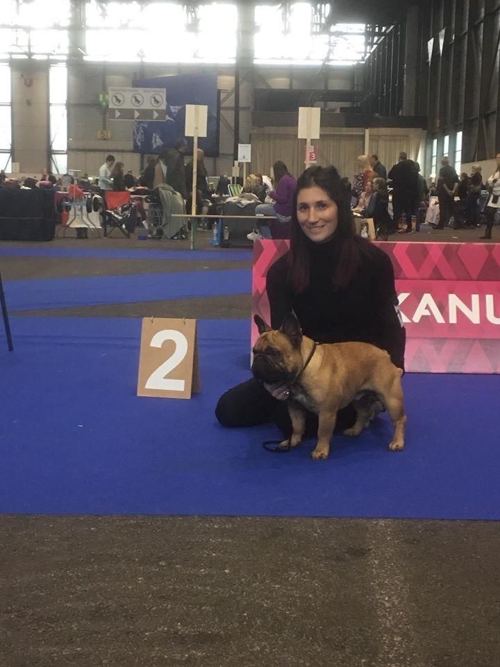 De La Vallee Des Gresidogs Oxmo puccino - Excellent - RCACS