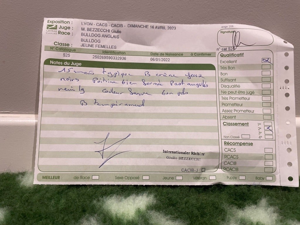 Tokyo Des éclats De Cassiopée - 2 eme excellent