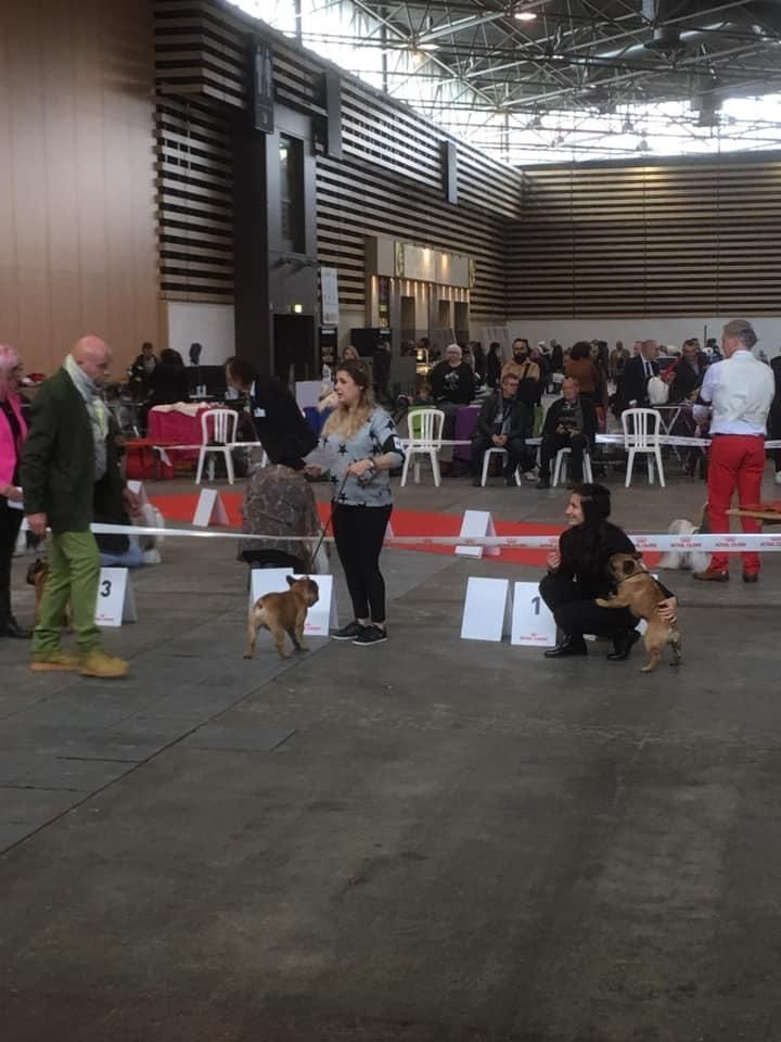 De La Vallee Des Gresidogs Oxmo puccino - 1 er excellent