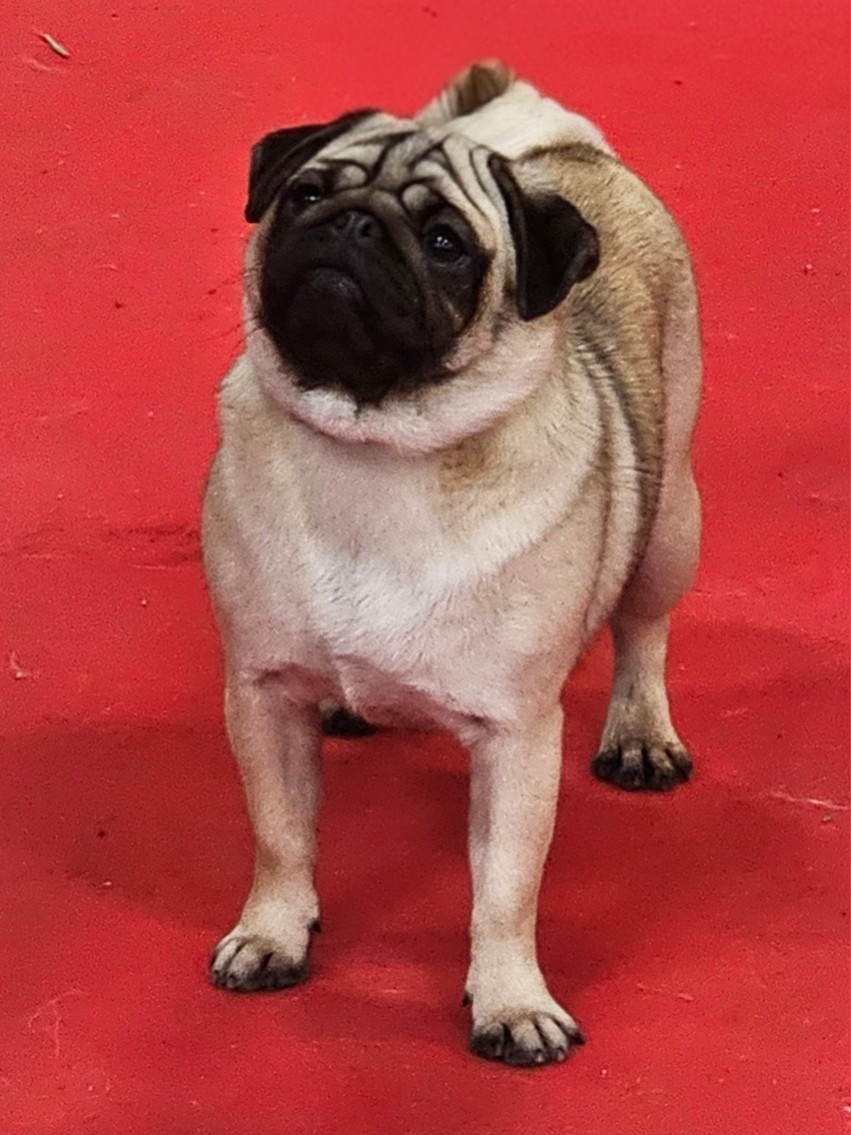 Publication : Du Domaine De La Cour Souveraine