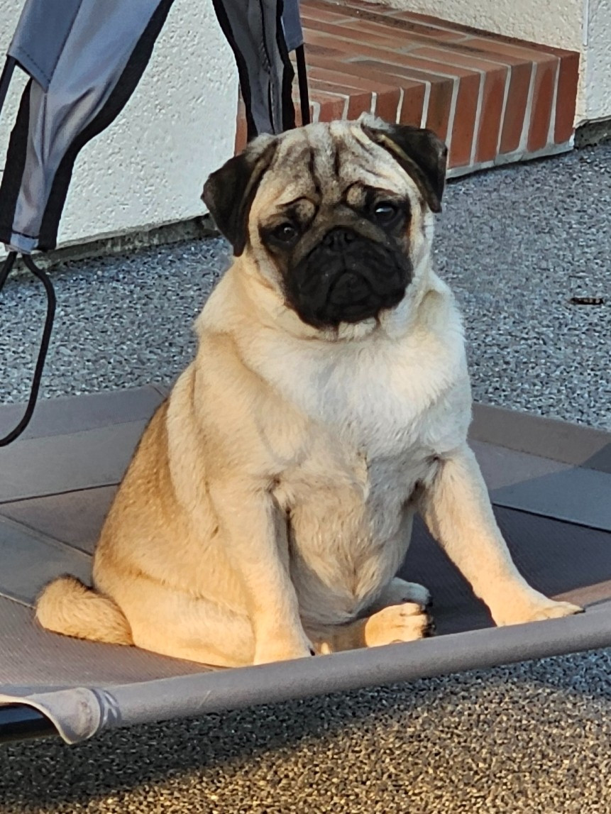 Publication : Du Domaine De La Cour Souveraine