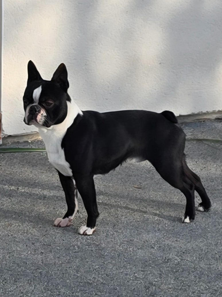 Publication : Du Domaine De La Cour Souveraine