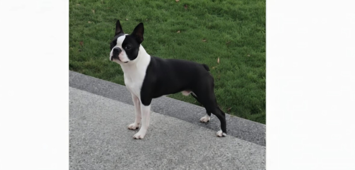 Publication : Du Domaine De La Cour Souveraine