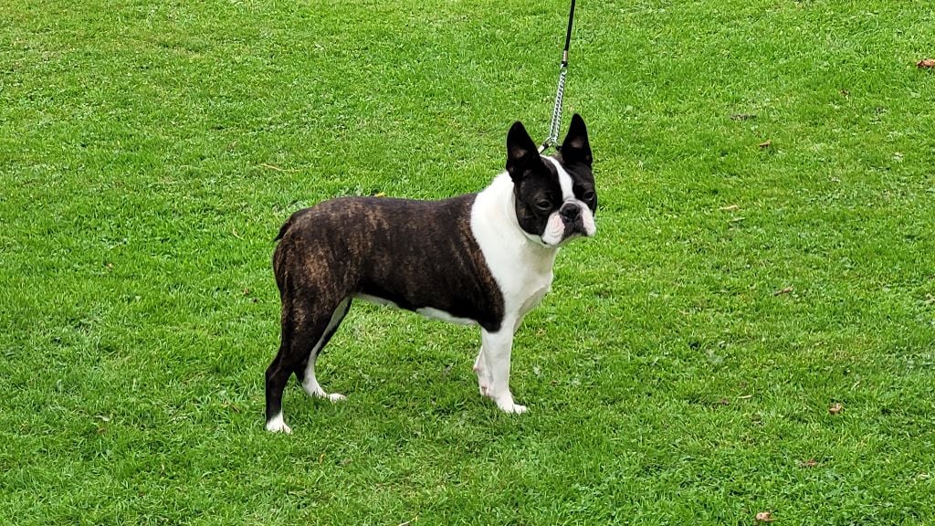 Publication : Du Domaine De La Cour Souveraine