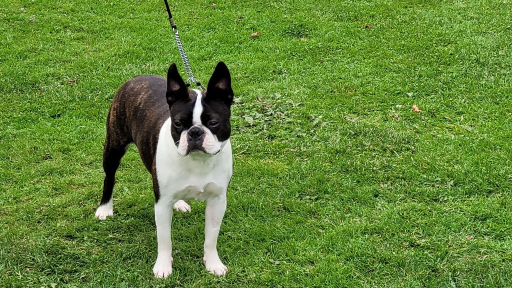 Publication : Du Domaine De La Cour Souveraine