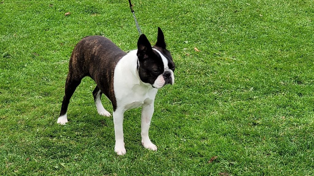 Publication : Du Domaine De La Cour Souveraine