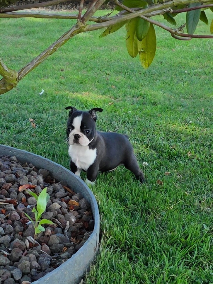 Billie