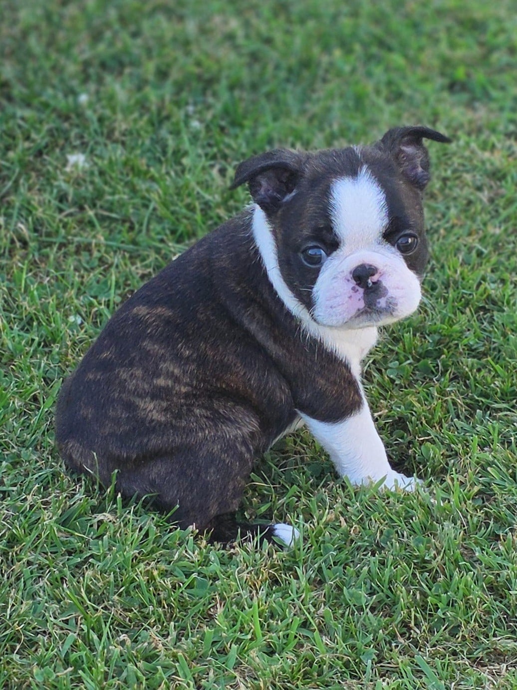 BAXTER