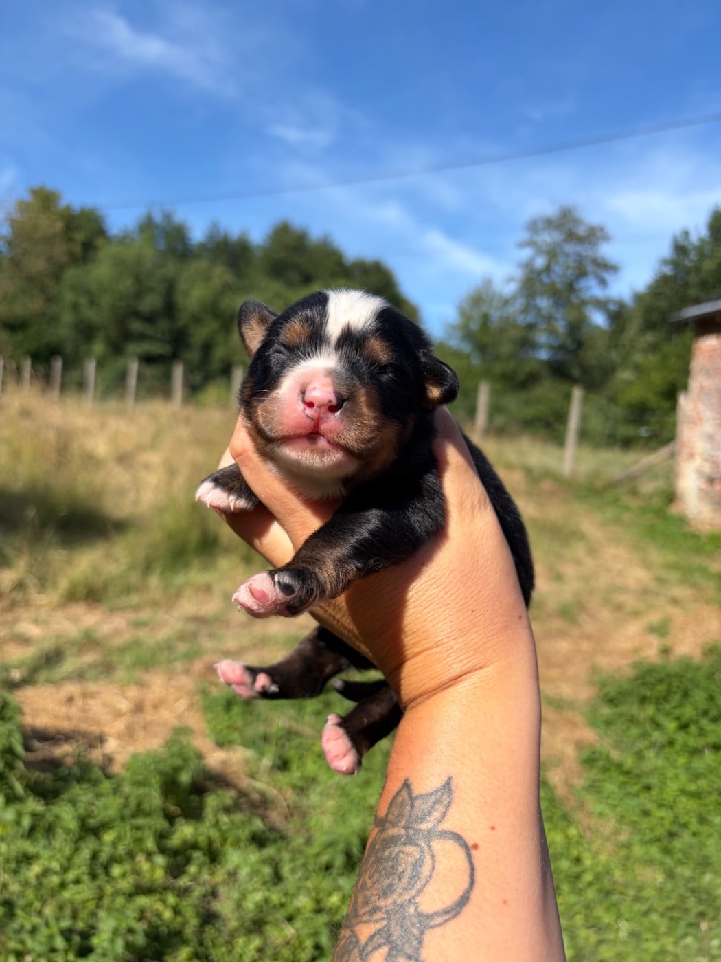 B'unique boy