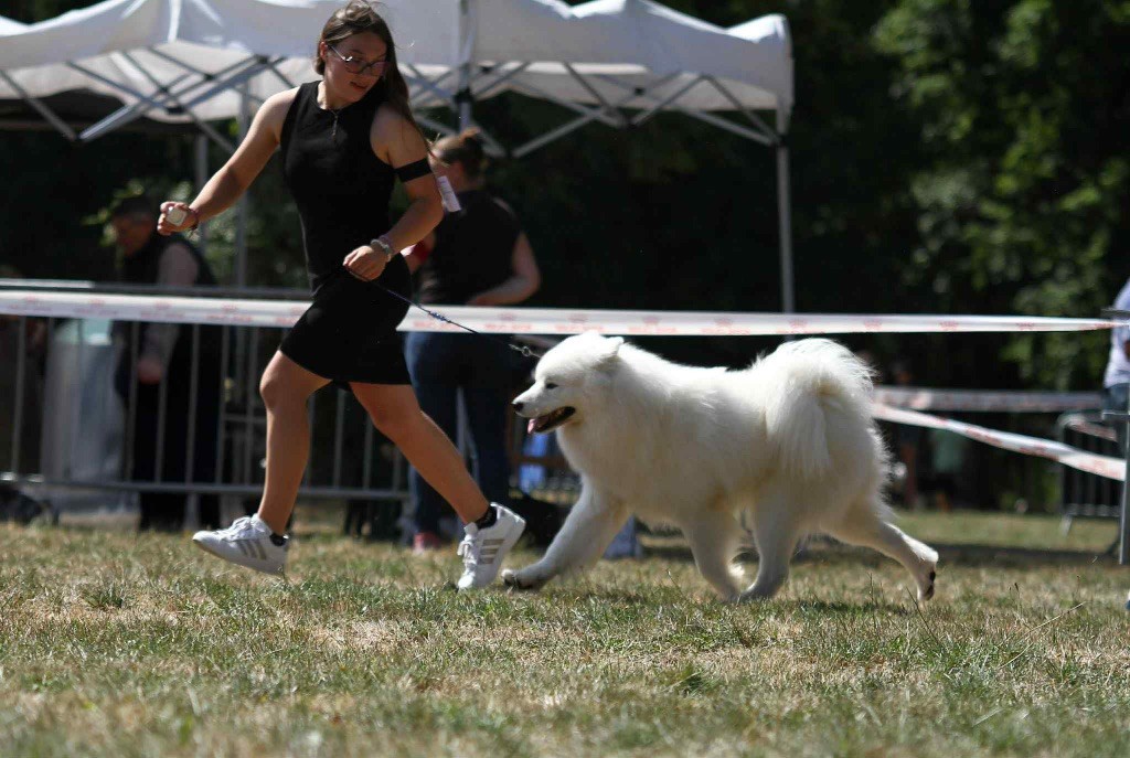 Jch. vyper du chemin de la belle etoile