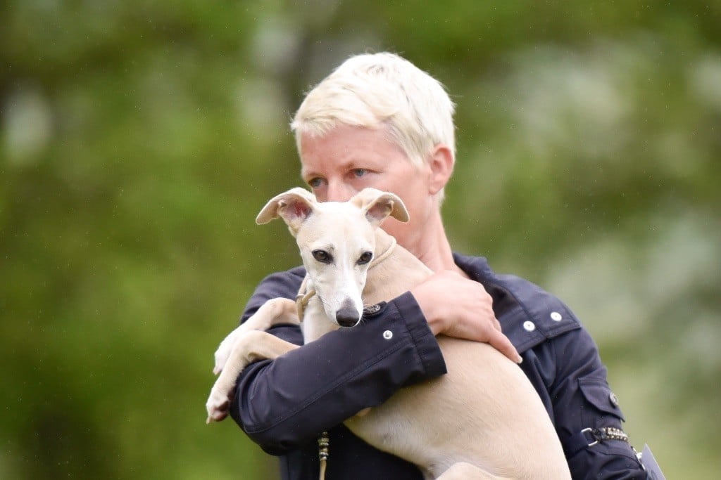 Tosca Des Rêves De Lilou