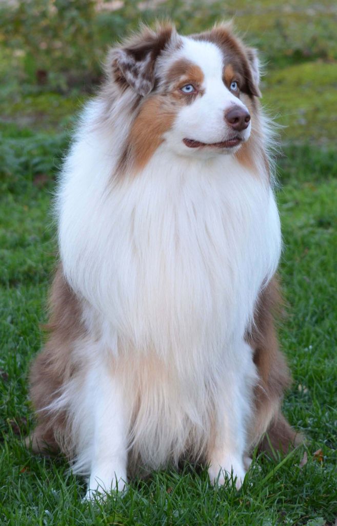 Publication : Du Jardin De Ké-al