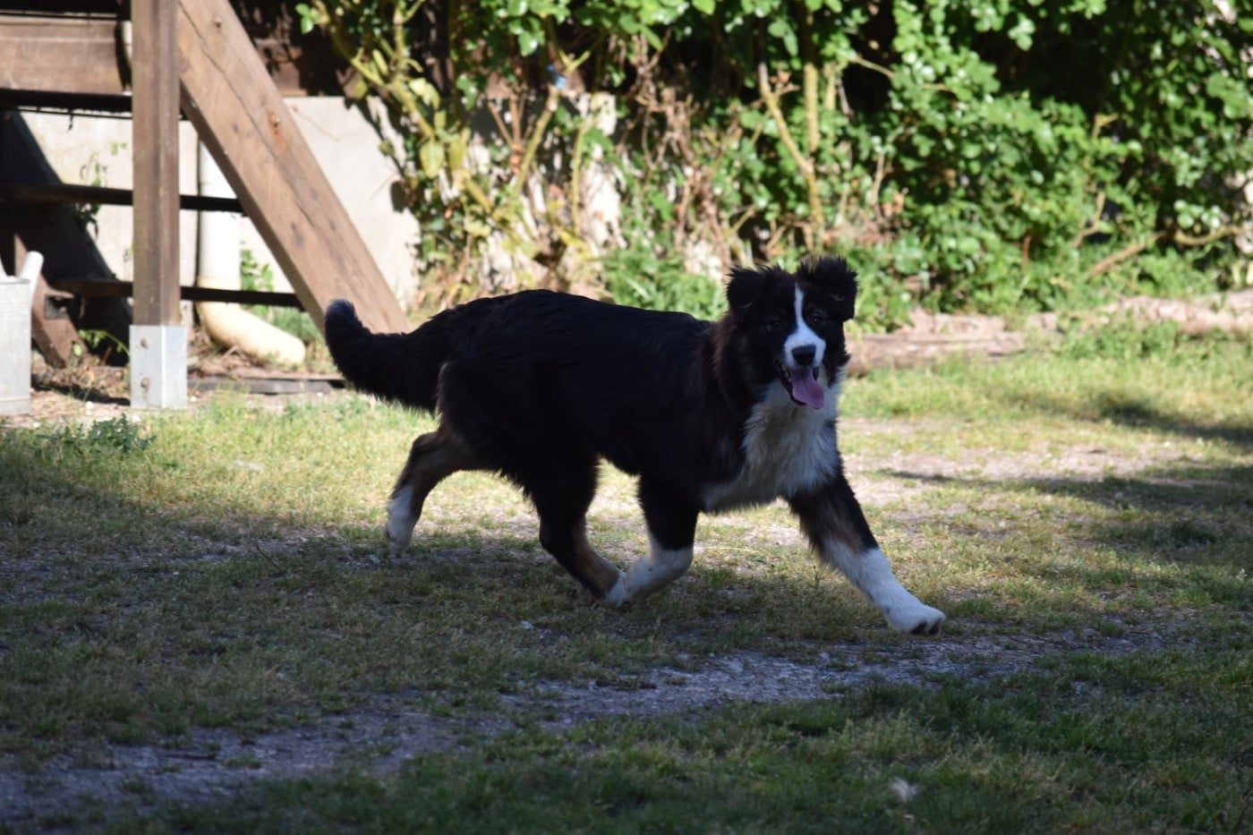 Ard Rock Deep Purple Des Fées Du Marteray