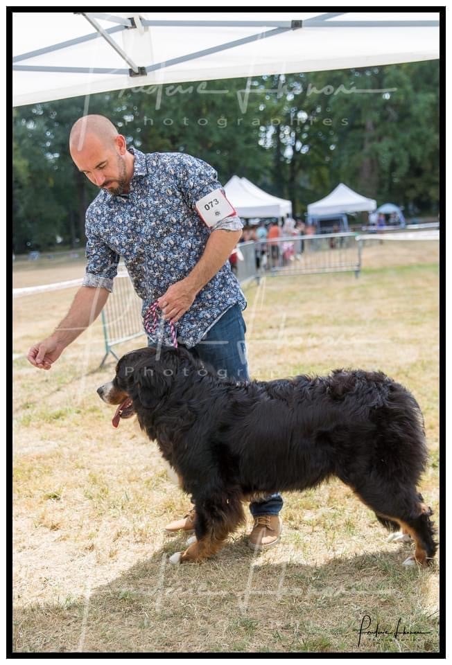 Rubby Du Verger Des Beaurepaires