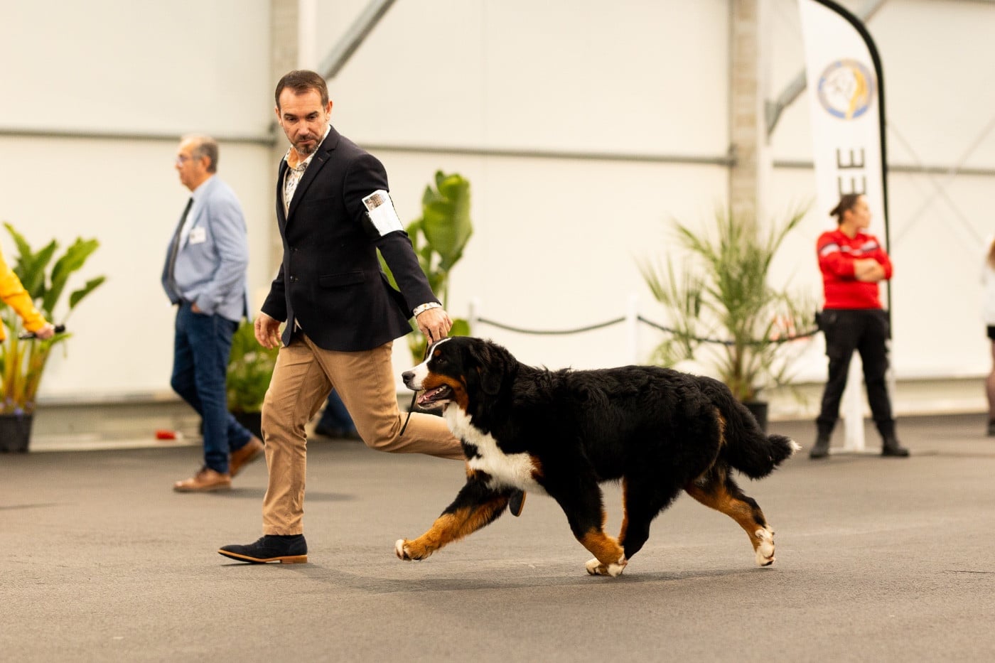 Publication : Du Verger Des Beaurepaires Auteur : M Barrault