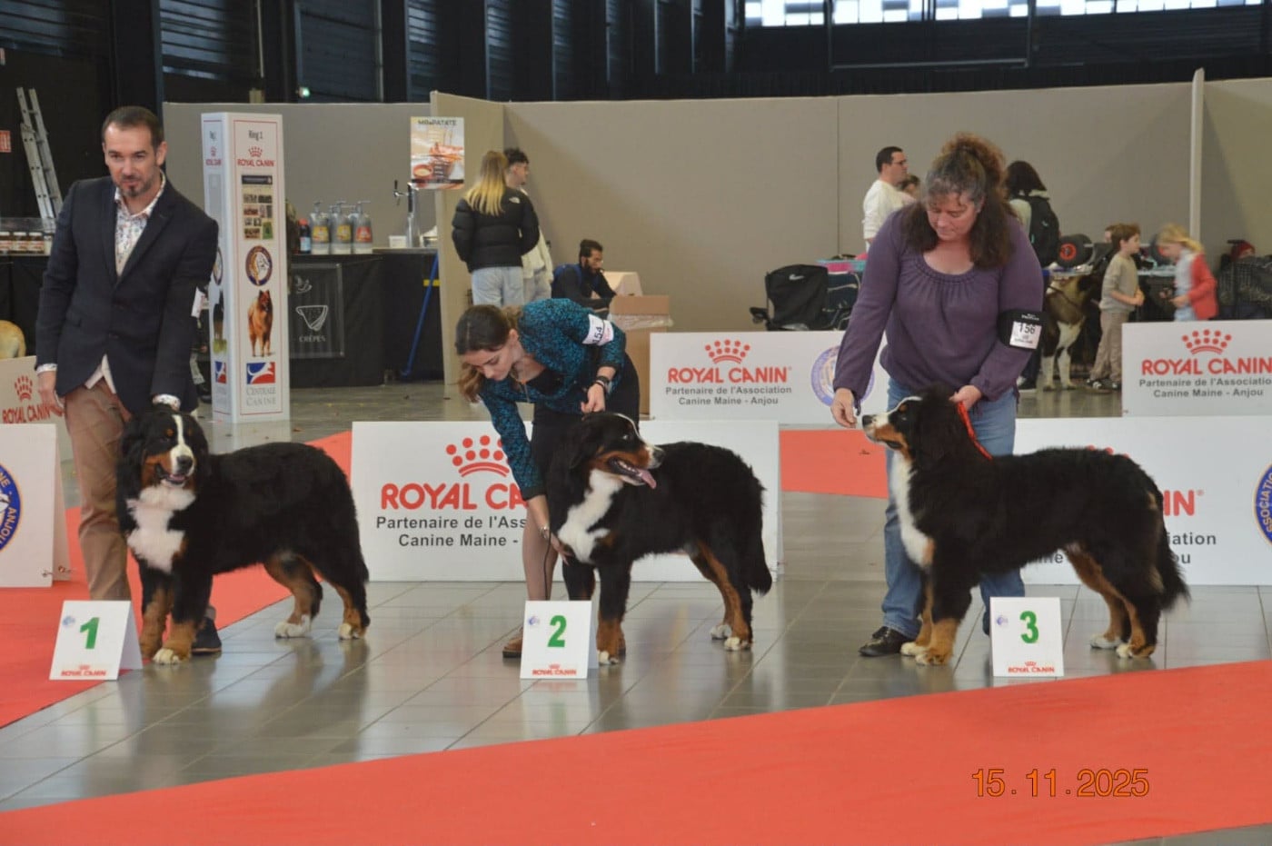 Publication : Du Verger Des Beaurepaires Auteur : M Barrault