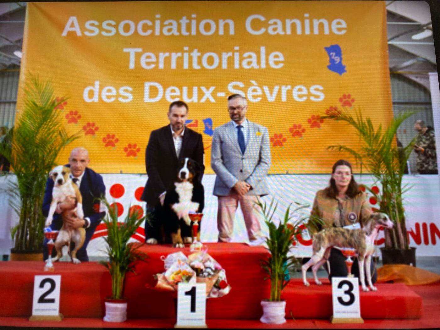 Publication : Du Verger Des Beaurepaires Auteur : M Barrault