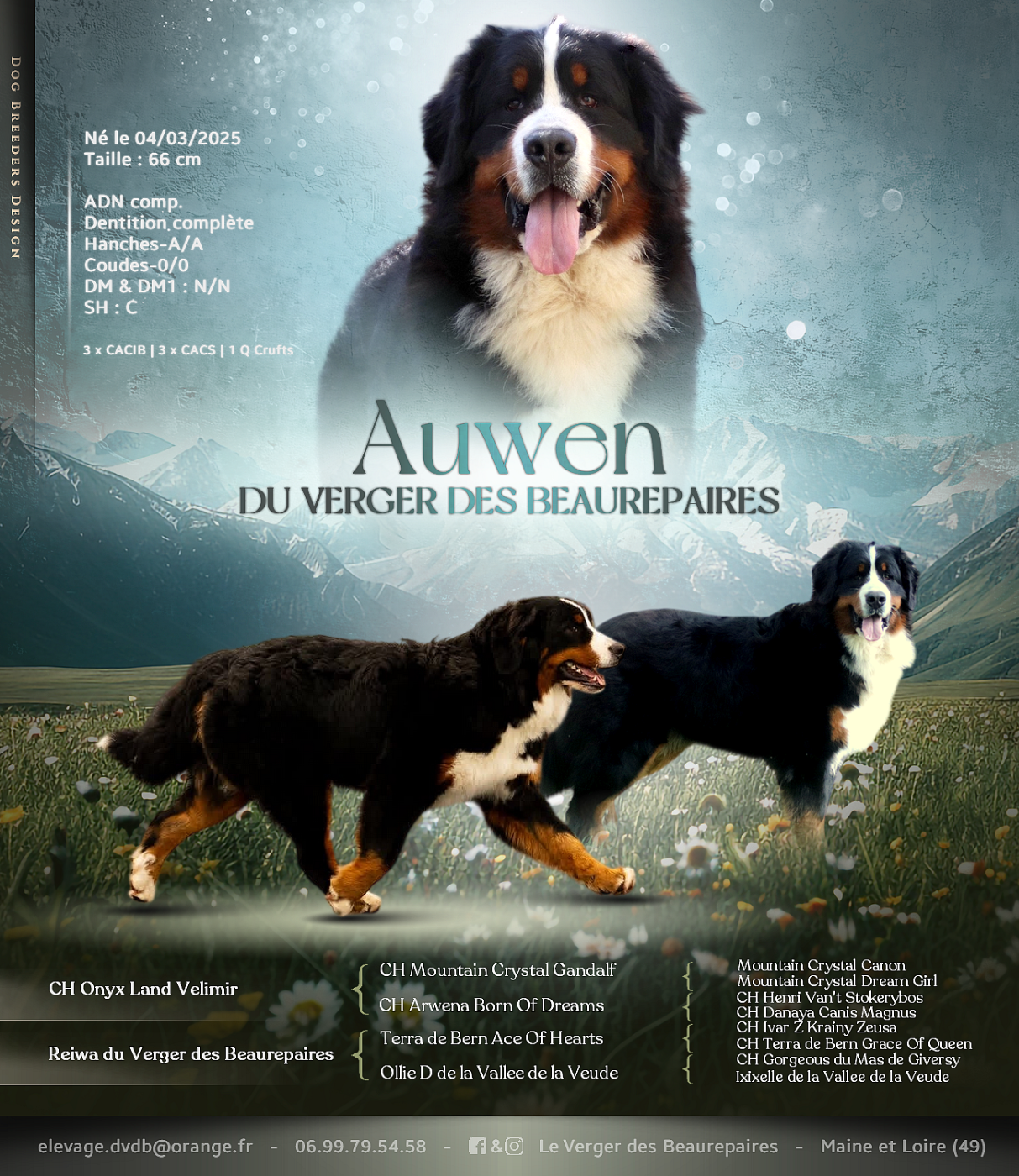 Auwen Du Verger Des Beaurepaires