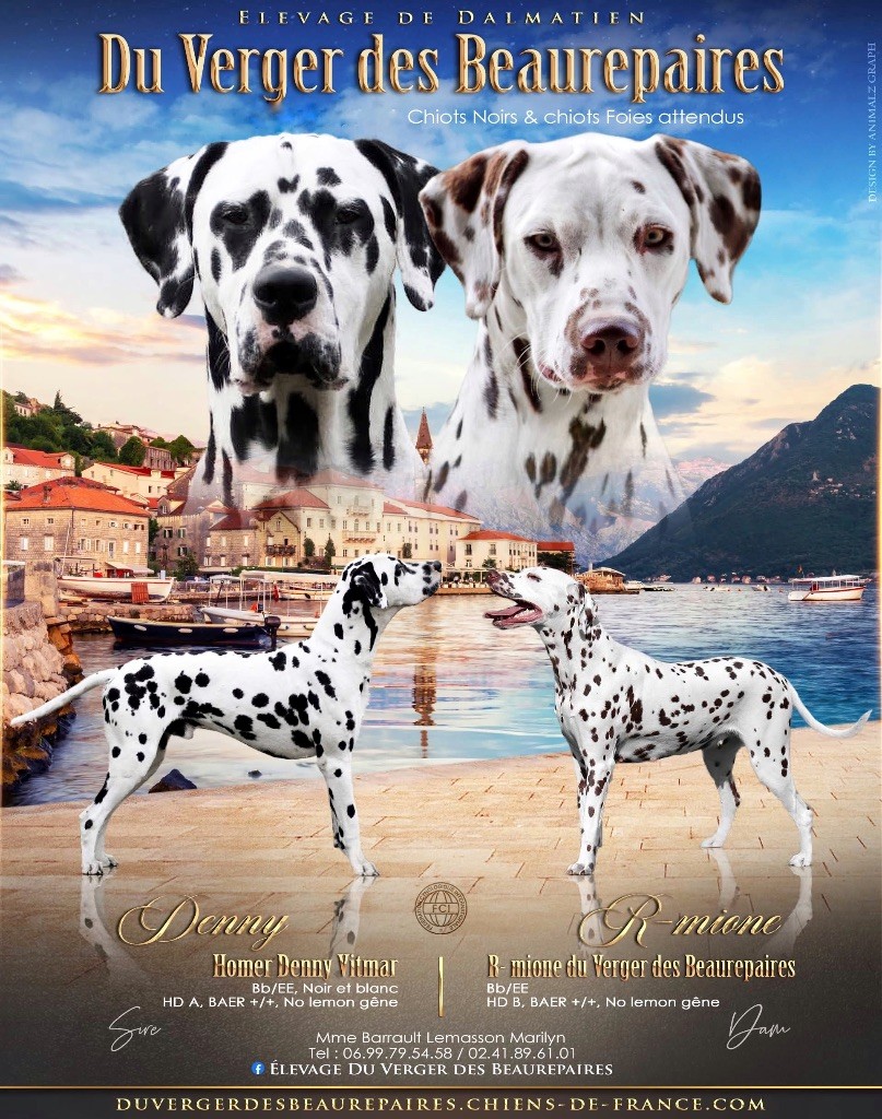 R- mione Du Verger Des Beaurepaires