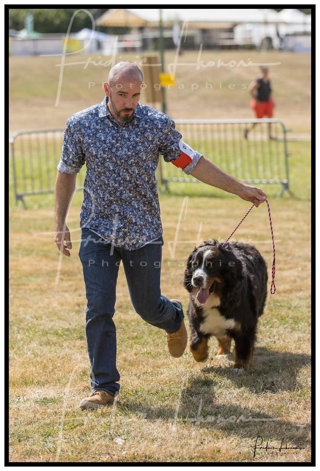 Rubby Du Verger Des Beaurepaires