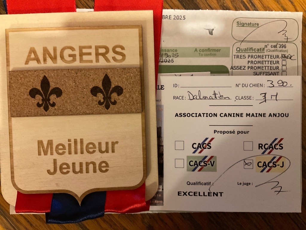 After magic night Of A Majestic Spotted White - 1er ExJCACS JBOB RJBOG