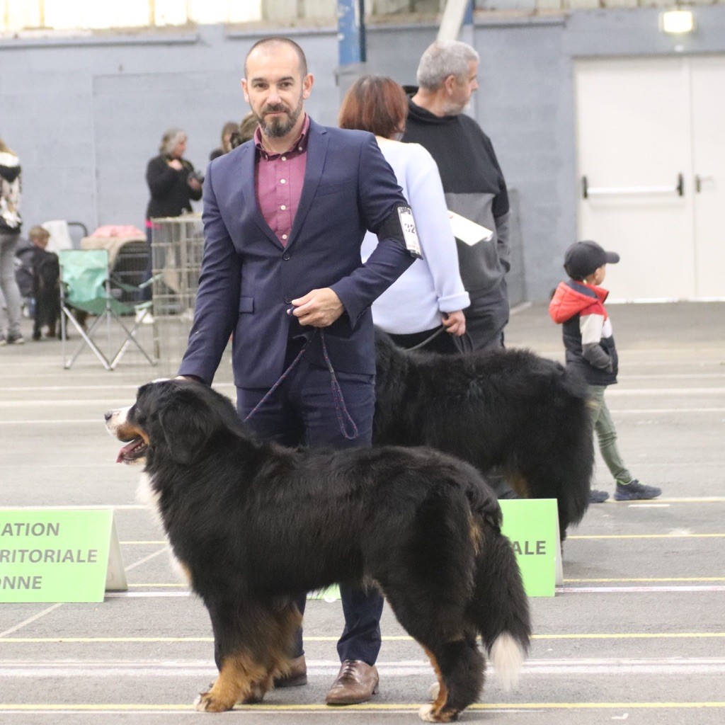 Rio Du Verger Des Beaurepaires - 1 er Excellent Classe Intermédiaire