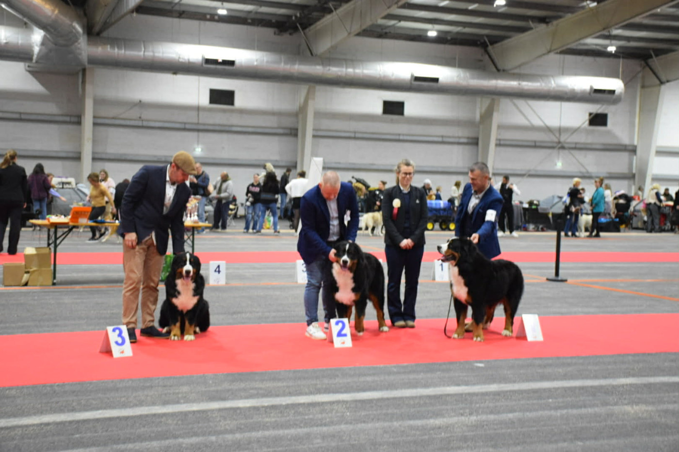 Auwen Du Verger Des Beaurepaires - 3 éme très bon