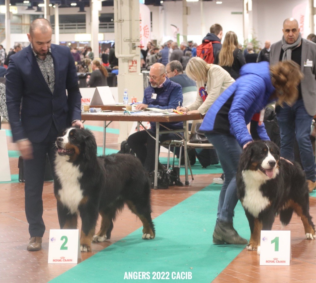 Rio Du Verger Des Beaurepaires - 2éme EXCELLENT