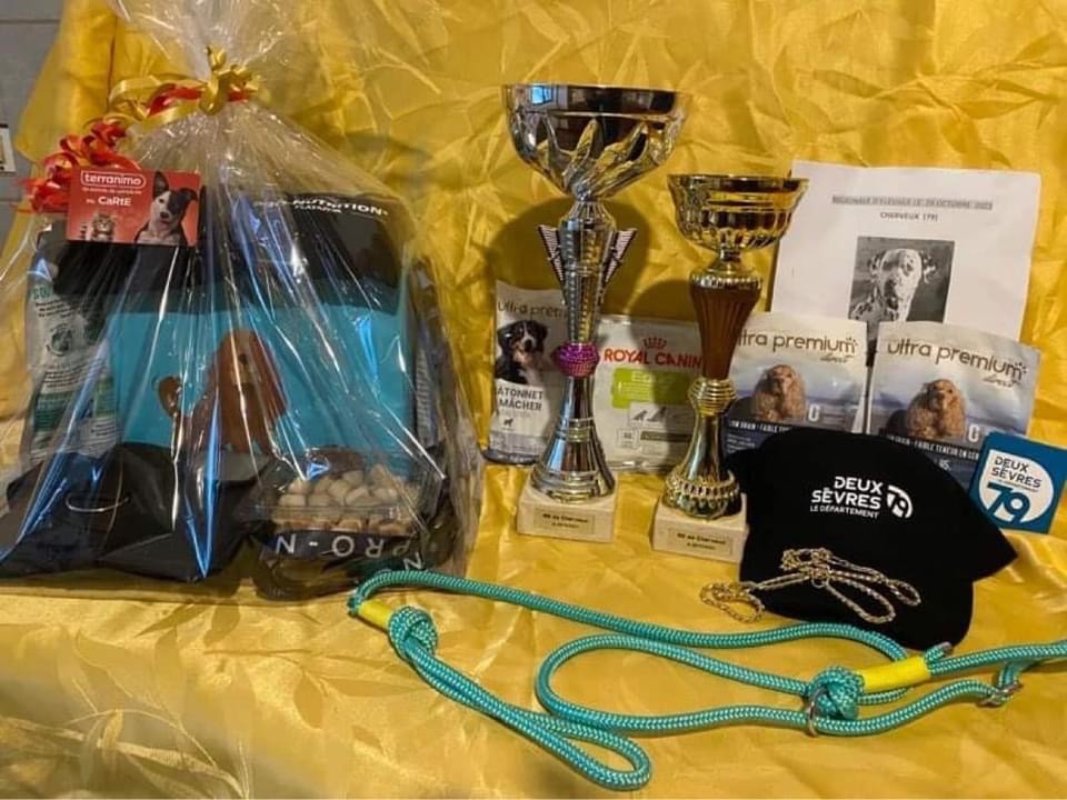 Homer denny vitmar - Meilleur jeune et meilleur sexe opposé BOS