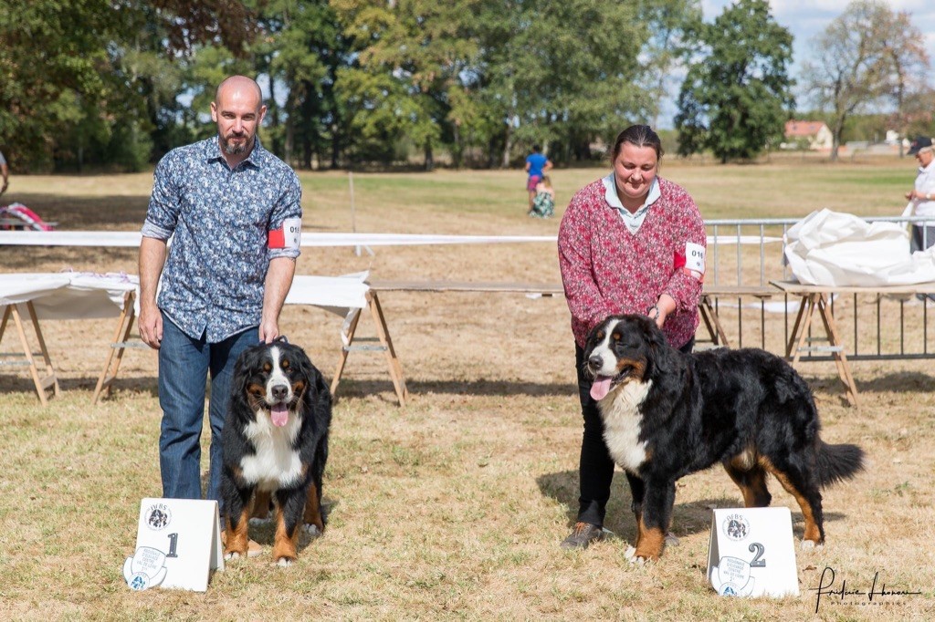 Rio Du Verger Des Beaurepaires - 1 er Excellent classe intermédiaire mâle