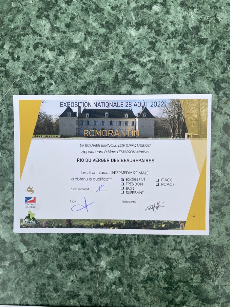 Rio Du Verger Des Beaurepaires - 1 er Excellent classe intermédiaire mâle