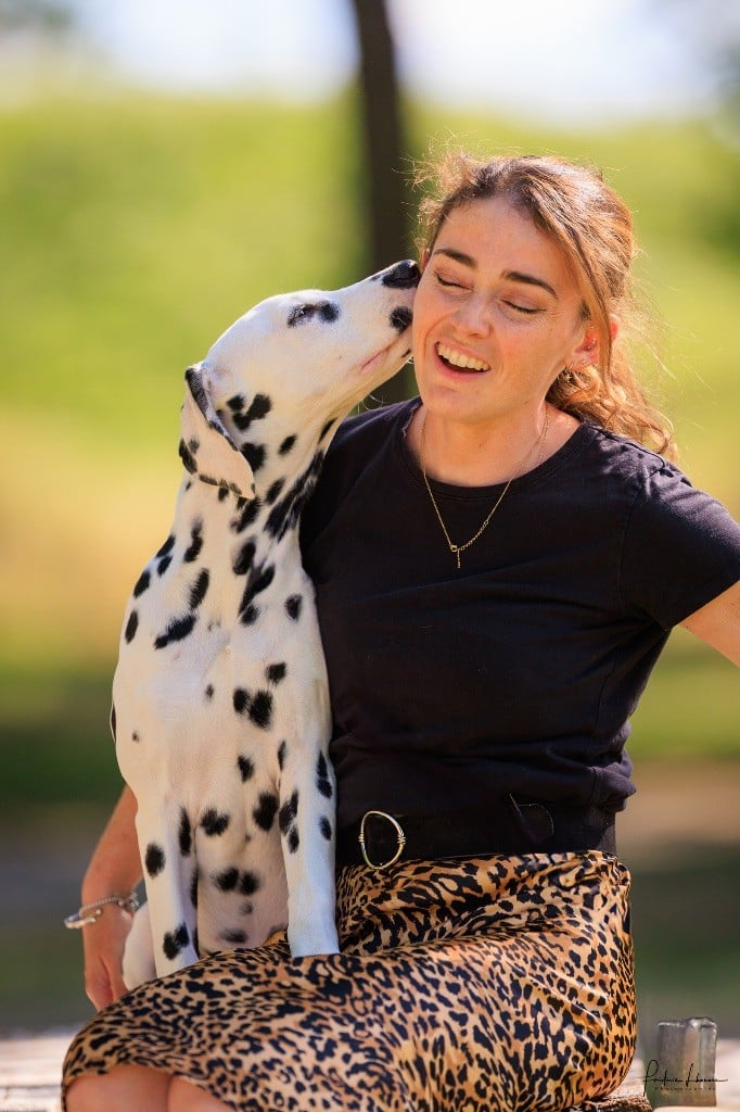 After magic night Of A Majestic Spotted White - Meilleur baby