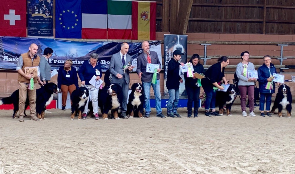 Rio Du Verger Des Beaurepaires - Excellent non classé