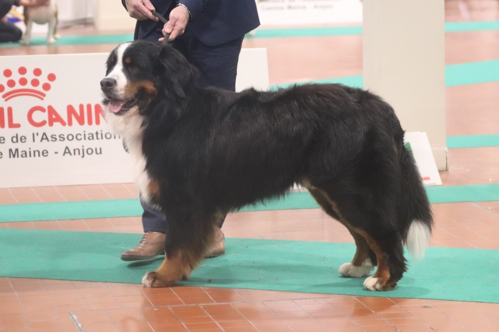 Rio Du Verger Des Beaurepaires - 3 éme Excellent