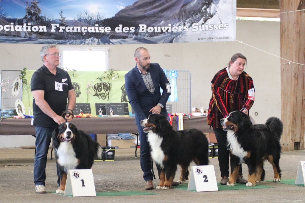 Rio Du Verger Des Beaurepaires - 2 éme Excellent CI