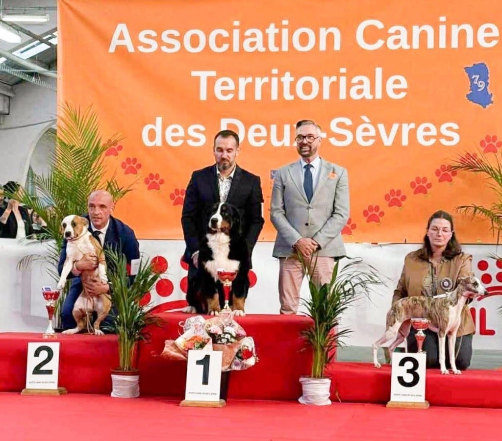 Auwen Du Verger Des Beaurepaires - BOB puppy et BIS Puppy