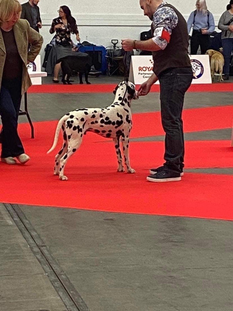 Homer denny vitmar - Meilleur jeune