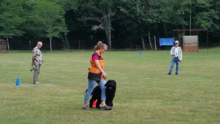 Publication : Des Plaines Du Valhalla